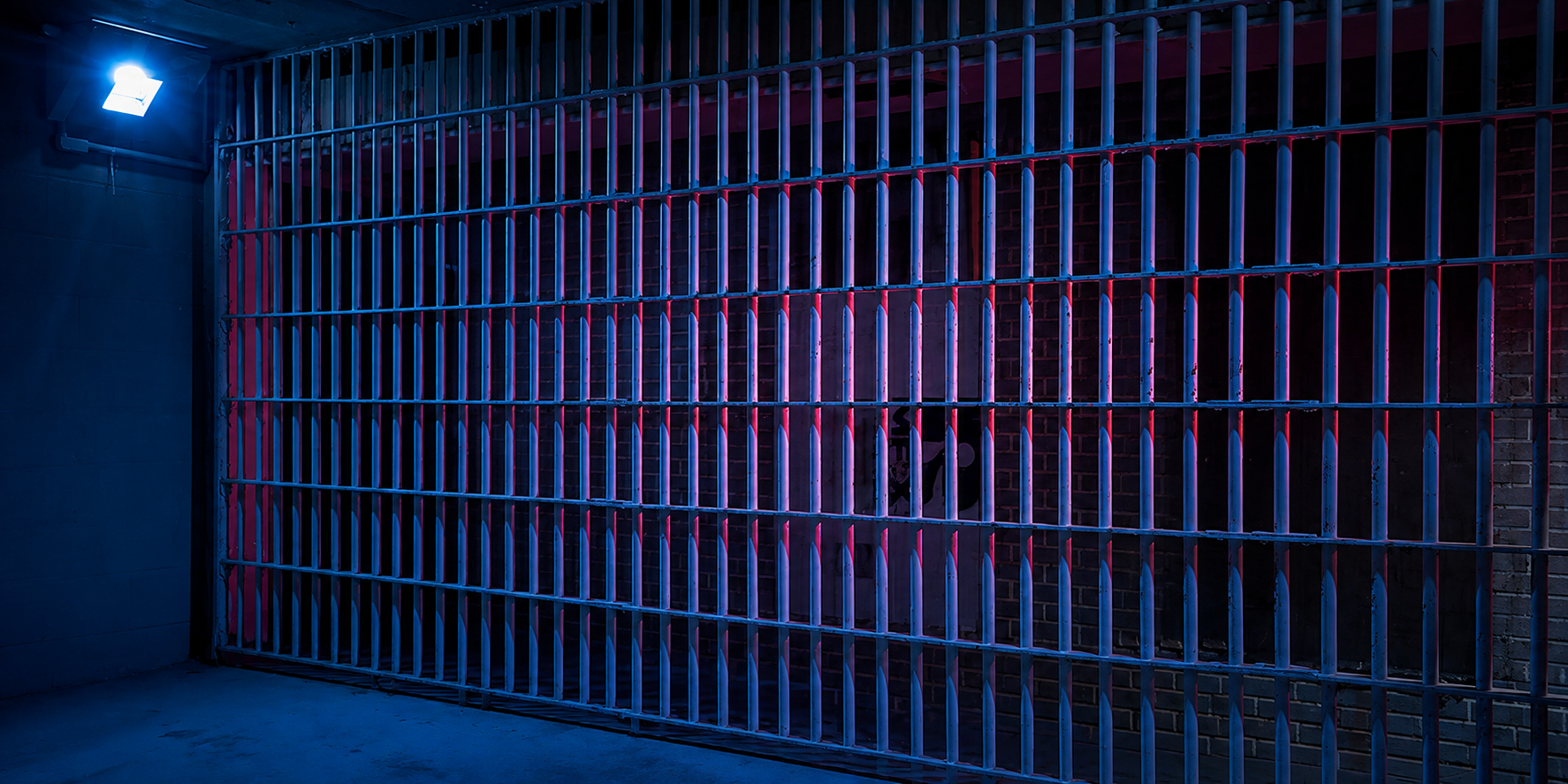 Real Cells. Real History. Real Fun.