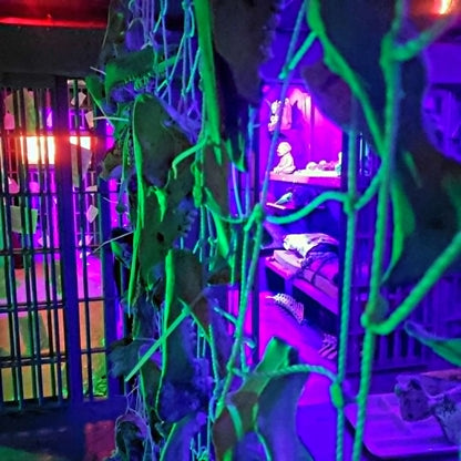 "Locked In Fear" Haunted House